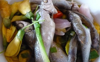 Cá linh của má