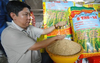 Một nông dân xuất khẩu 1.000 tấn lúa giống/năm