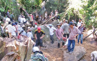 Tịch thu kỳ nam để bán chia nhau