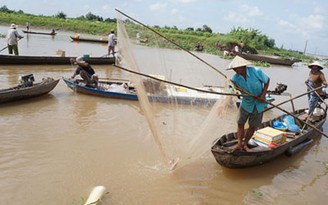 Sạt lở đất nhấn chìm 25 bè cá