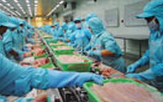 Cá tra xếp hạng 6/10 “thủy sản được yêu thích” tại Mỹ