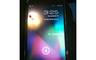 Nexus 4 có hai phiên bản