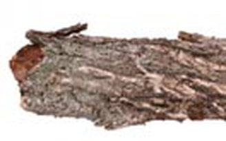 Tạo bọt từ gỗ