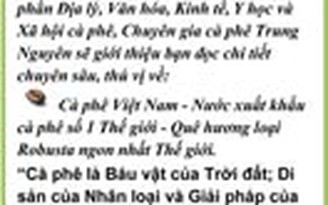 “Dáng dấp” cà phê ngoại ở Việt Nam