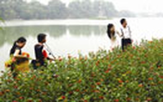 Ảnh cưới "độc"