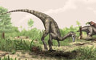 Phát hiện loài khủng long cổ xưa nhất?