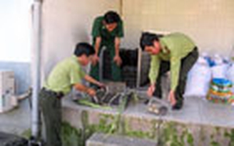 Xử phạt vụ vận chuyển trái phép 60 con dúi