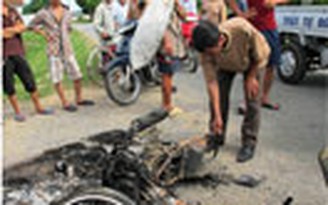 HĐND tỉnh Nghệ An “nóng” vì trộm chó