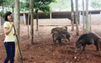 Lối đi khác biệt