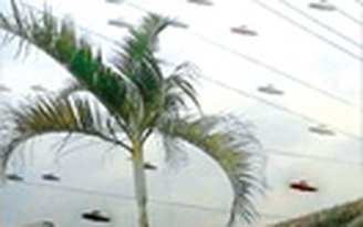 Không lừa được dân mạng