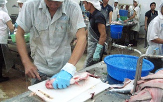 Công nhân xử nhau bằng dao xẻ cá