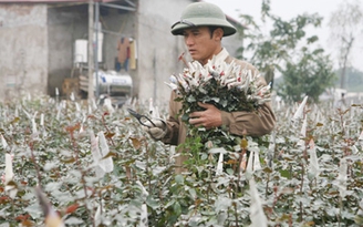 "Cháy" hoa tươi dịp lễ tình nhân