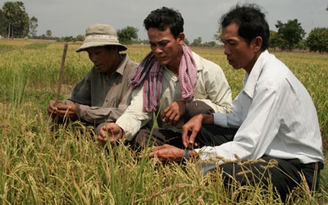 Ruộng nhà là đất biên cương