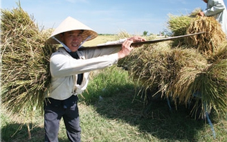 Cần sửa đổi gì trong luật Đất đai? - Kỳ 3: Điểm nghẽn lớn nhất là quyền sở hữu