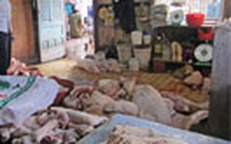 24% mẫu thịt tại lò mổ ở TP.HCM dương tính với chất cấm