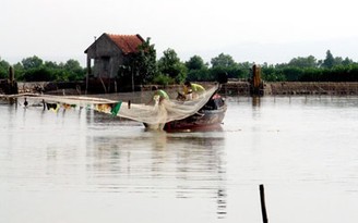 Xung điện tàn phá đầm Thị Nại