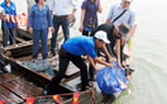 Thả cá về sông