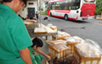 Phát hiện xe khách chở hơn 300kg thịt bẩn