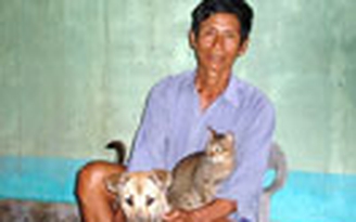 U Minh kỳ thú: Vương quốc rắn giữa rừng tràm