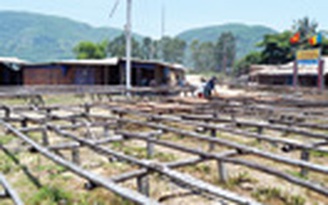 Gập ghềnh hải sản Việt Nam