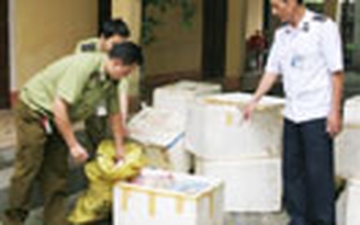 Bắt giữ gần 1 tấn nội tạng, chân giò hôi thối