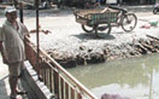 Khổ với cái ao thối