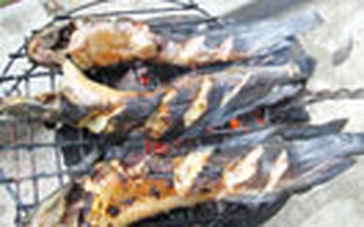 Nhớ cá trê đồng