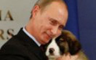 Nhật Bản tặng chó cưng cho Tổng thống Nga