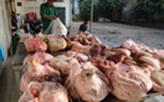 Ngăn chặn hơn nửa tấn thịt "bẩn" từ vùng dịch về TP.HCM