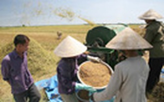 Tìm lối ra cho kinh tế Việt Nam - Kỳ 11: Chọn nông nghiệp là mũi nhọn
