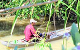 Đánh bắt thủy sản trái phép