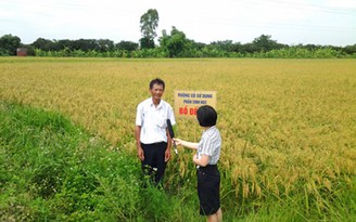 Nông dân phải chuyên nghiệp