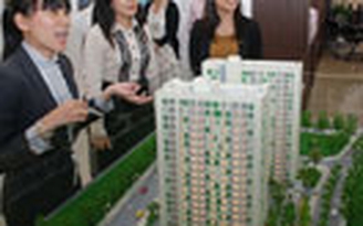 Loạn căn hộ penthouse