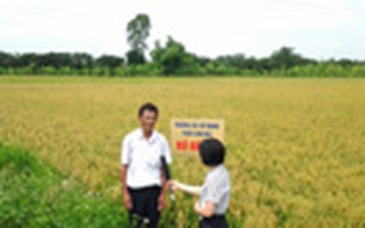 Nông nghiệp muốn phát triển, nông dân phải chuyên nghiệp