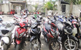 Phá ổ “xẻ thịt” xe gian