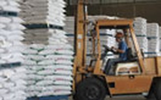 Cam kết WTO chưa cho phép đấu thầu lượng đường nhập khẩu