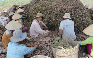 Cẩn trọng với thương nhân nước ngoài