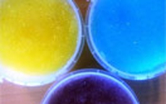 Hydrogel thay thế tủy sống