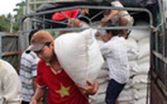 100 tấn gạo hỗ trợ người dân vùng động đất thủy điện Sông Tranh 2