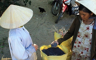 Độc đáo chợ quê: Nồi Rang - chợ tro còn một chút này