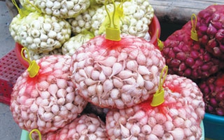 Tỏi Lý Sơn