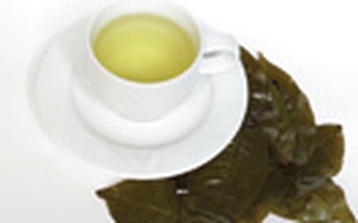 Uống trà xanh giúp bỏ thuốc lá