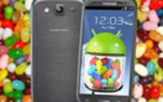 Galaxy S III "xơi đậu" Android 4.1 Jelly Bean