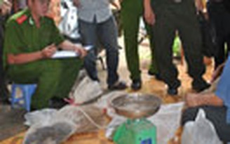 Bắt vụ tàng trữ động vật hoang dã