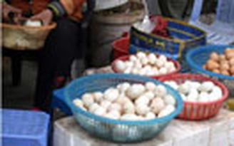 Giá trứng gia cầm ở Hà Nội tăng “ầm ầm”