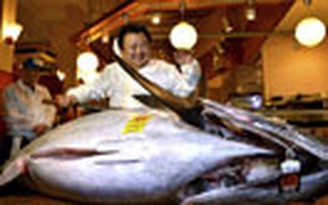 Một con cá ngừ ở Nhật có giá 1,8 triệu USD