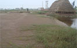 Đìu hiu làng muối
