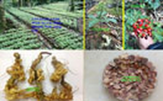 Vinagin.com mang sức khỏe cho mọi gia đình