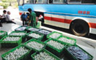 28.000 quả trứng không rõ nguồn gốc