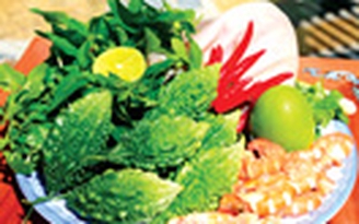 Cất công kiếm khổ qua rừng